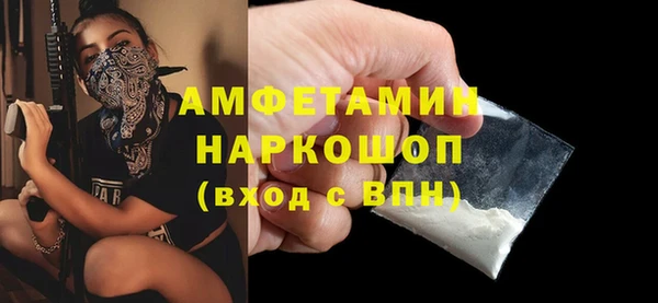 стаф Алексин