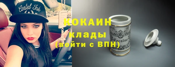 стаф Алексин