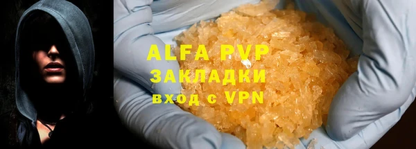 стаф Алексин