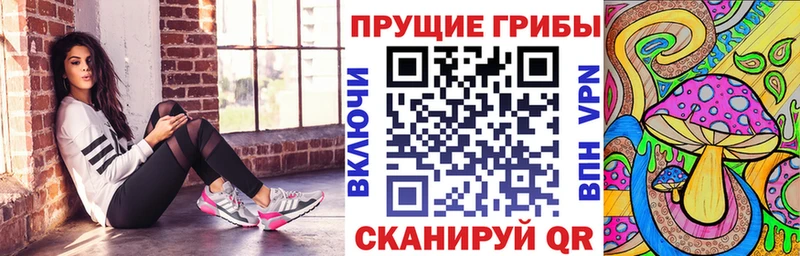 Купить  Козьмодемьянск  Псилоцибиновые грибы GOLDEN TEACHER 